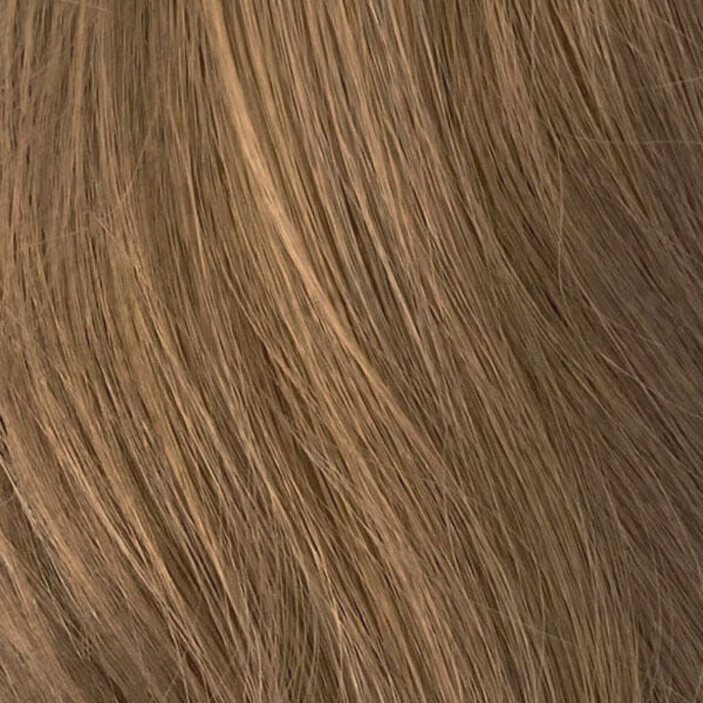 hair colour swatch brown 10T6