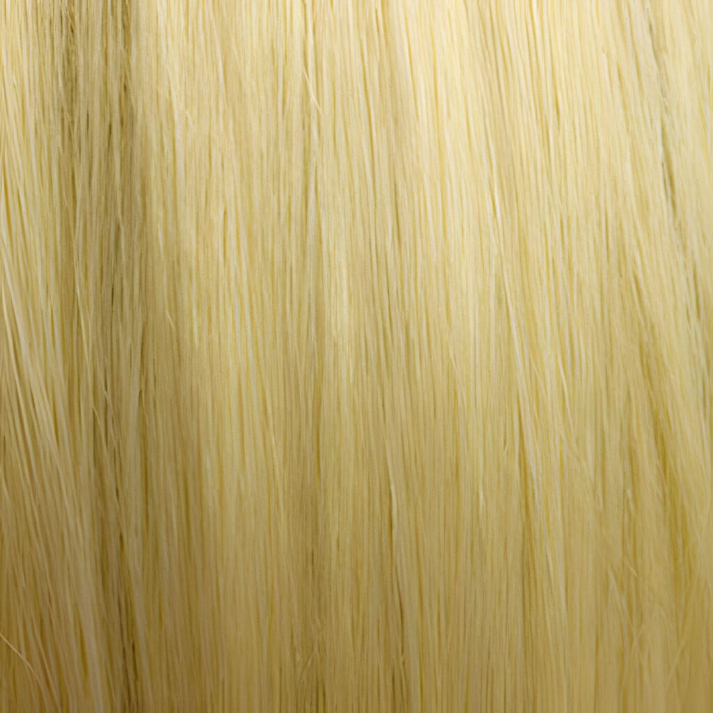 hair colour creamy blonde 613 swatch