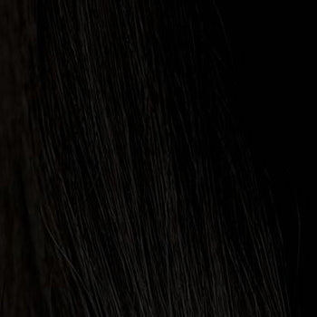 hair colour jet black 1 swatch